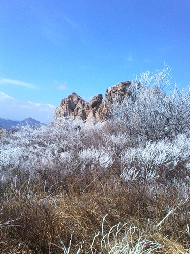IMG_20130324_140323.jpg
