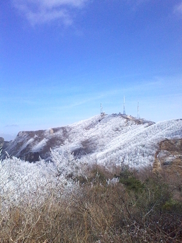 IMG_20130324_141853.jpg