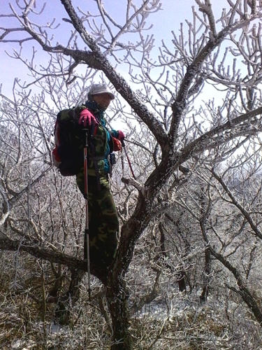 IMG_20130324_140957.jpg