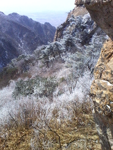 IMG_20130324_125341.jpg