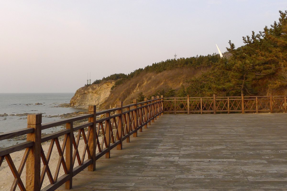 P1050244.jpg