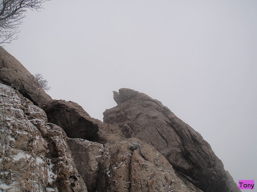 DSC02837.jpg