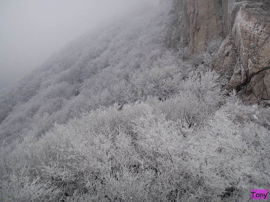 DSC02842.jpg