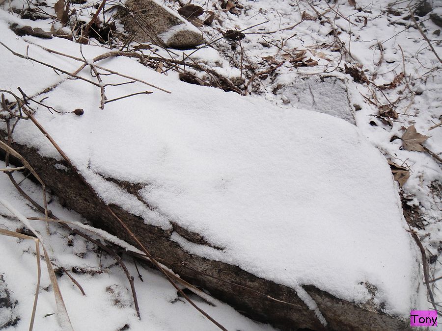 DSC02852.jpg