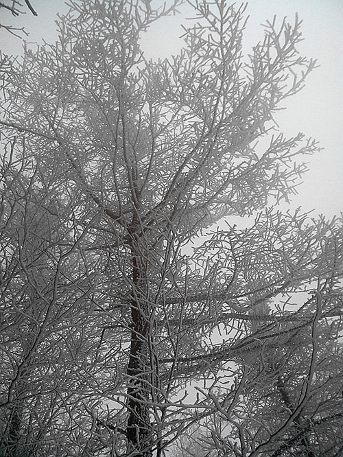 IMG_20130324_085529_副本.jpg