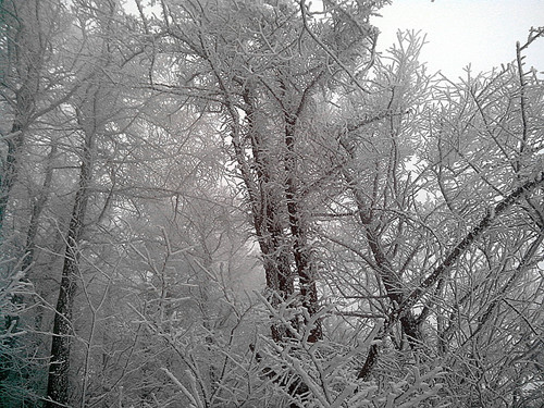 IMG_20130324_085759_副本.jpg