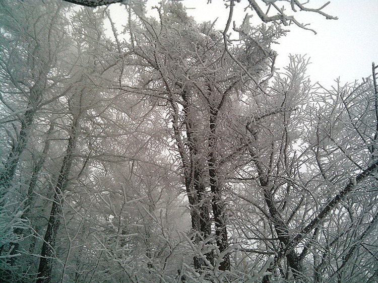 IMG_20130324_085811_副本.jpg