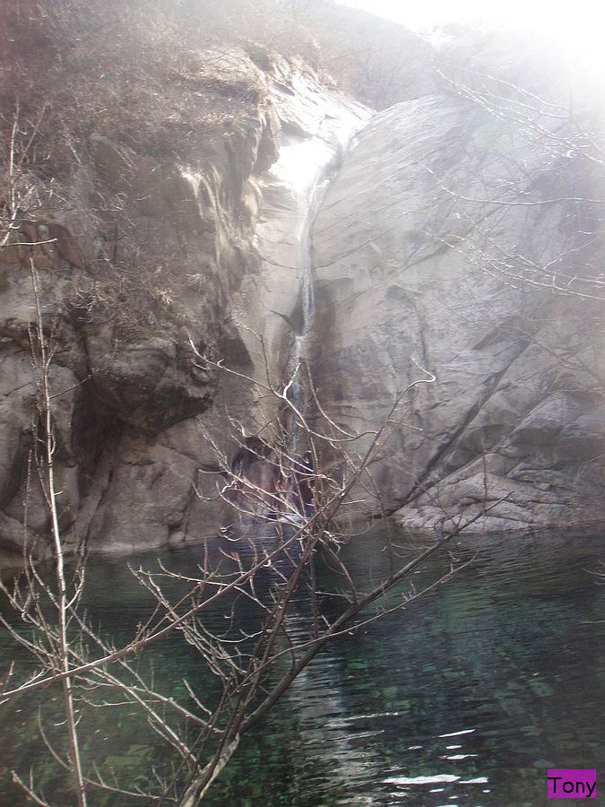 DSC02875.jpg