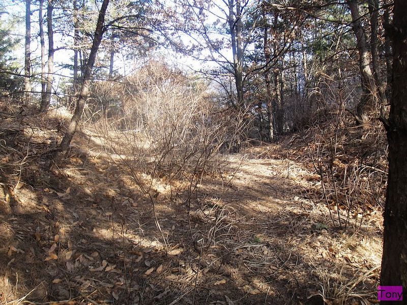 DSC02886.jpg