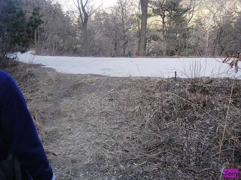 DSC02887.jpg