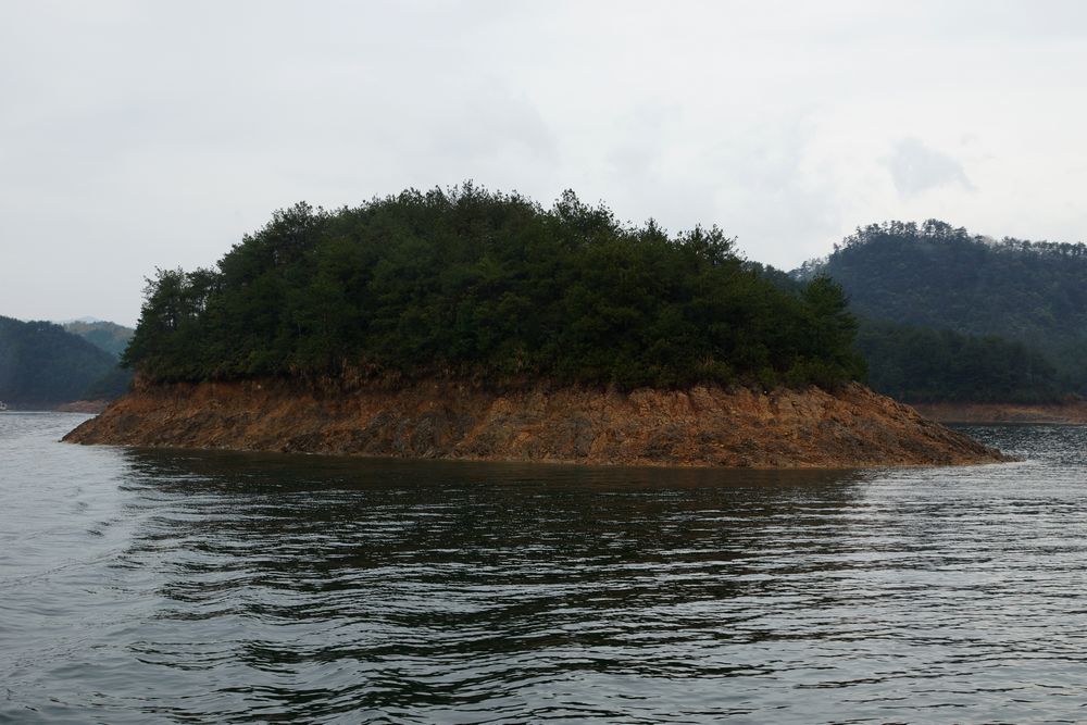 DSC06347.jpg