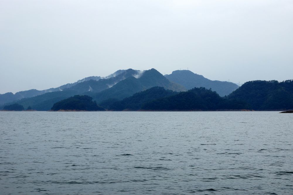 DSC06351.jpg