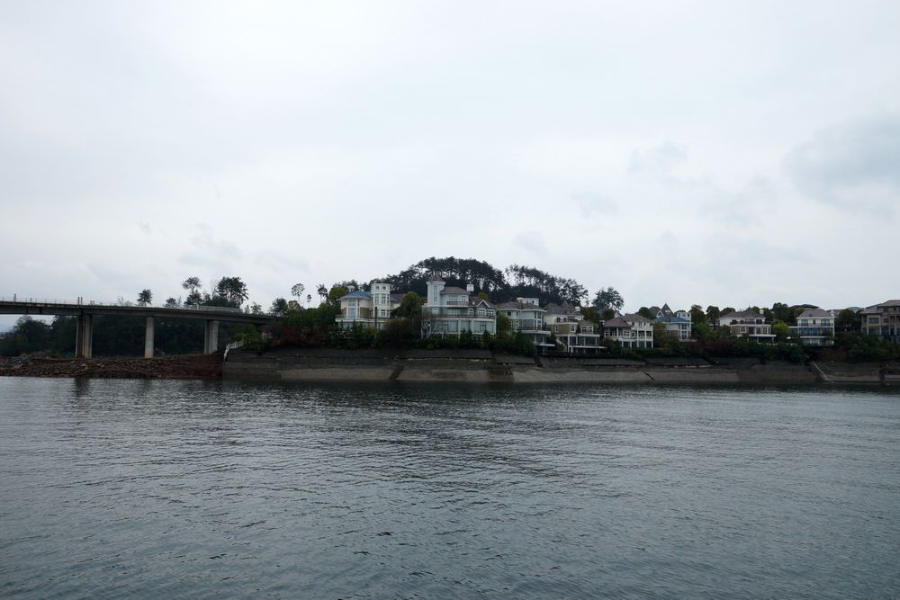 DSC06360.jpg