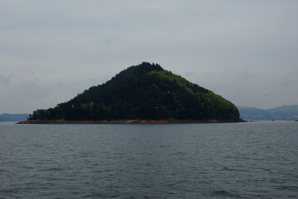 DSC06357.jpg