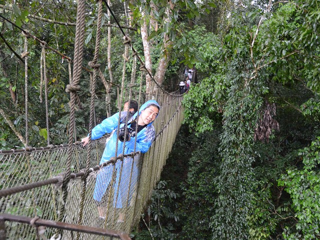 PhotoCap_191.jpg