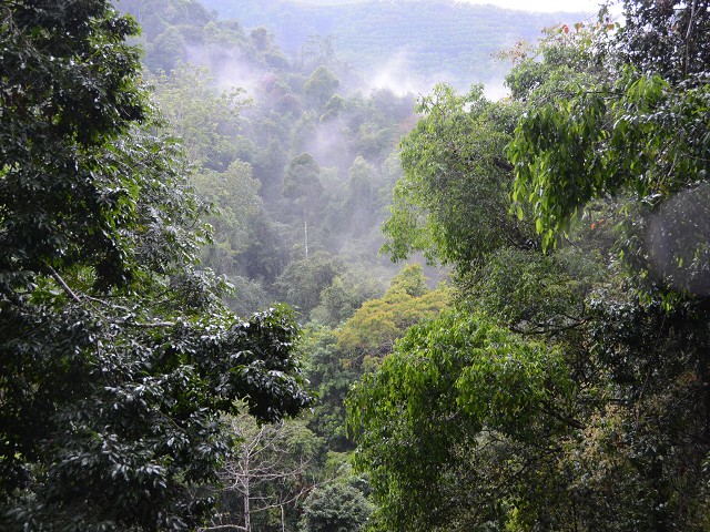 PhotoCap_194.jpg