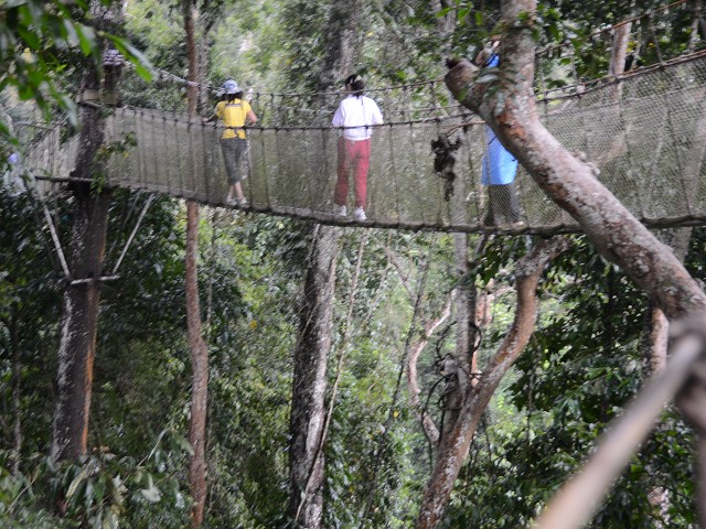 PhotoCap_202.jpg