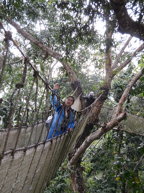 PhotoCap_214.jpg