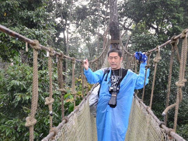 PhotoCap_219.jpg