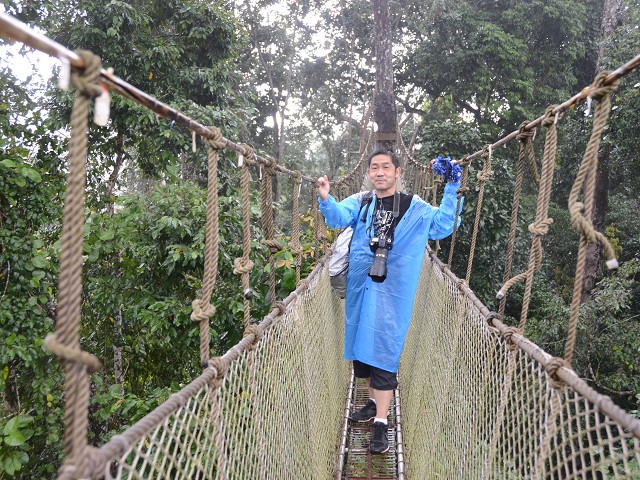 PhotoCap_220.jpg
