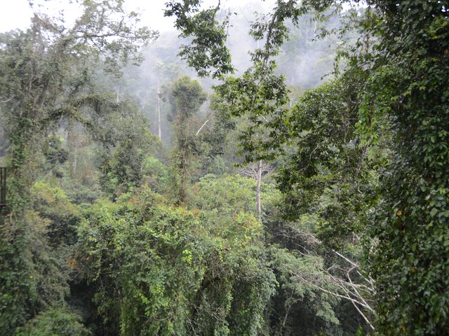 PhotoCap_221.jpg
