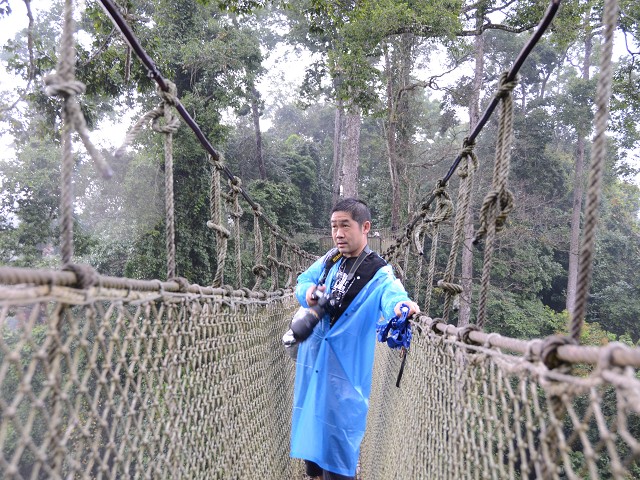 PhotoCap_224.jpg