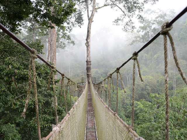 PhotoCap_233.jpg