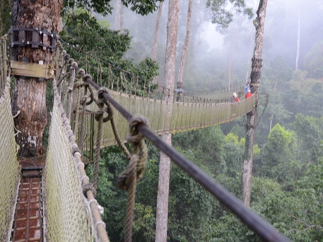 PhotoCap_229.jpg
