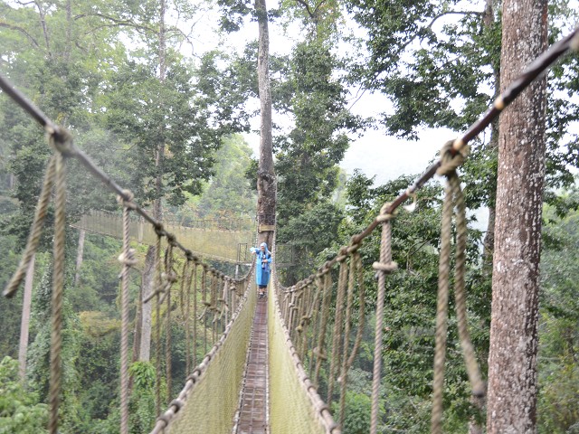 PhotoCap_236.jpg