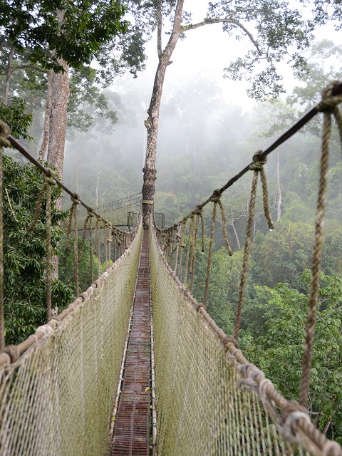 PhotoCap_234.jpg