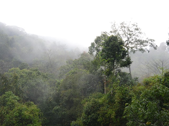 PhotoCap_238.jpg