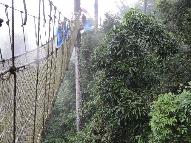 PhotoCap_249.jpg