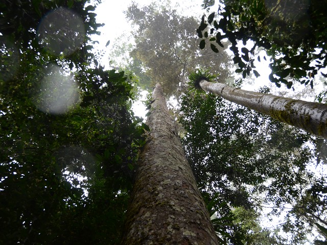 PhotoCap_252.jpg