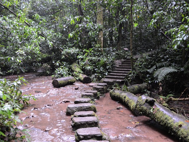 PhotoCap_264.jpg