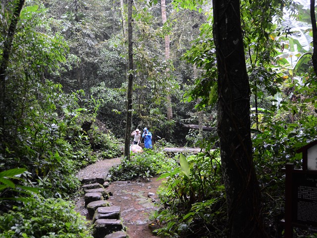 PhotoCap_263.jpg