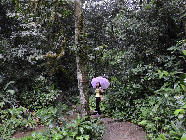 PhotoCap_260.jpg