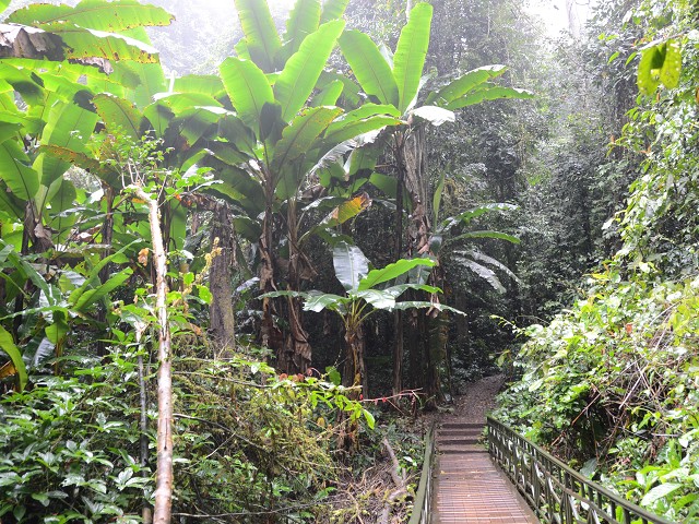 PhotoCap_277.jpg