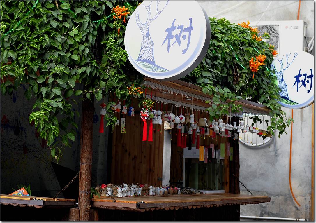 雁荡-厦门行 1006.jpg