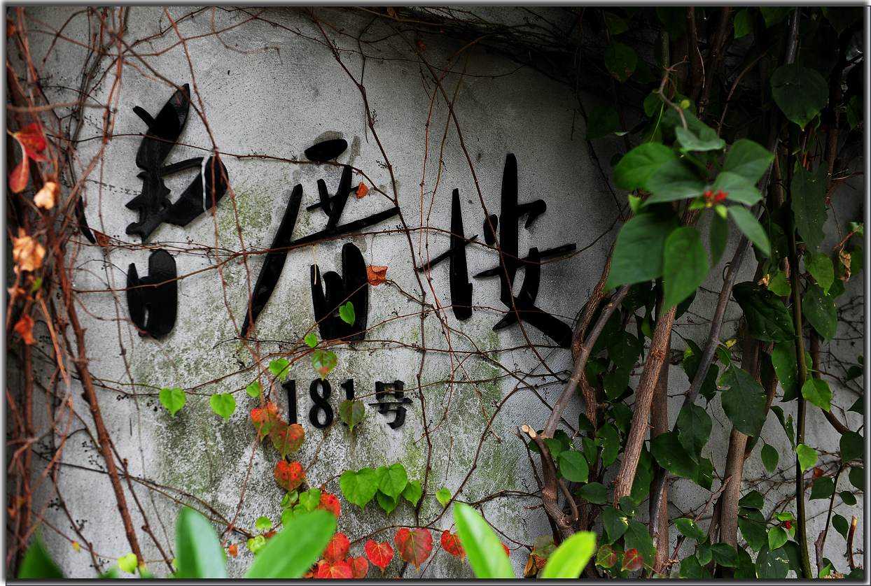 雁荡-厦门行 1000.jpg