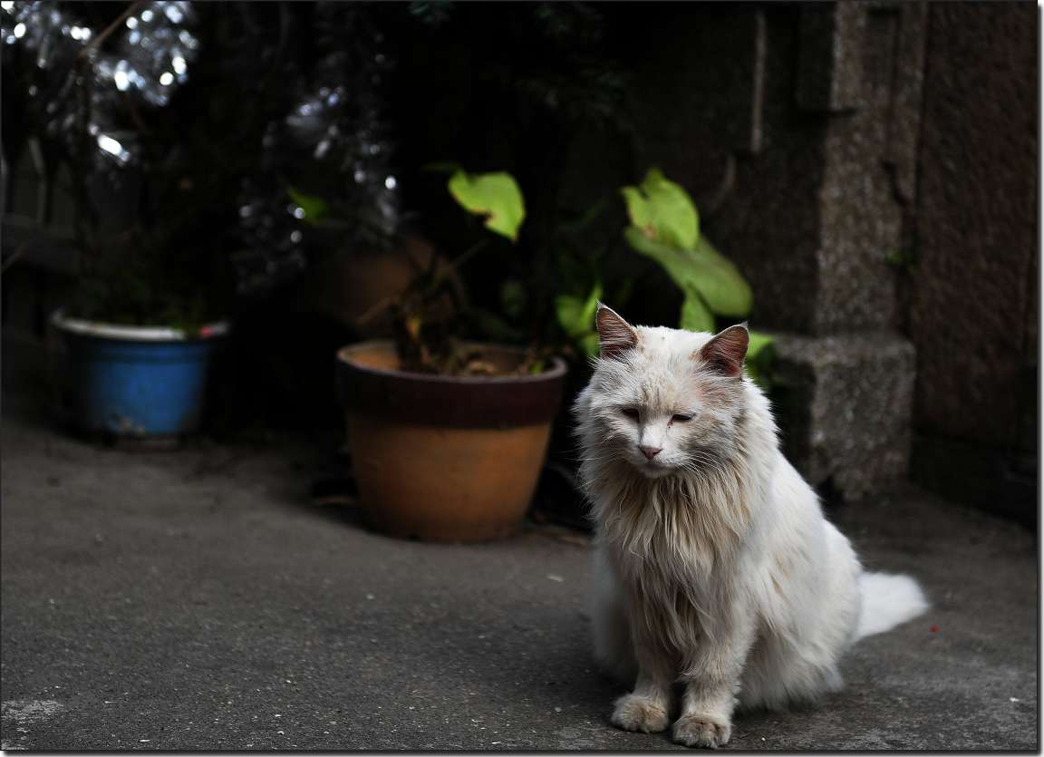 雁荡-厦门行 1094.jpg