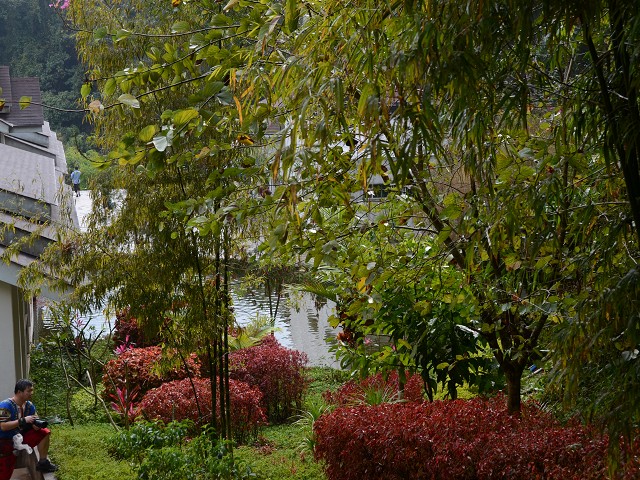 PhotoCap_291.jpg