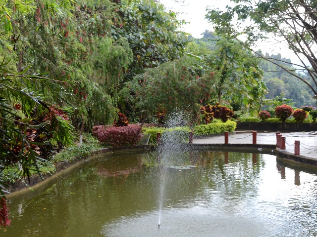 PhotoCap_292.jpg