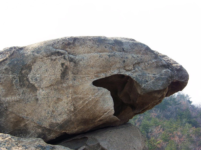 100_7041_缩小大小.JPG