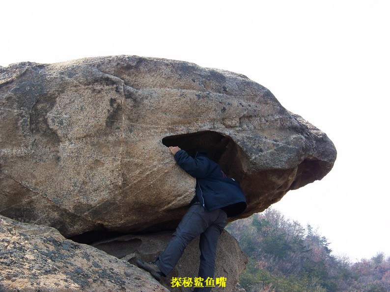 100_7038_缩小大小.JPG