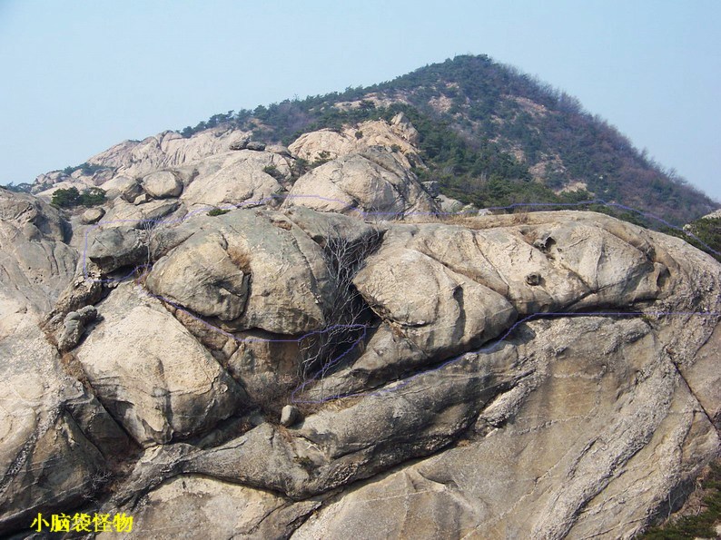 100_7046_缩小大小.JPG