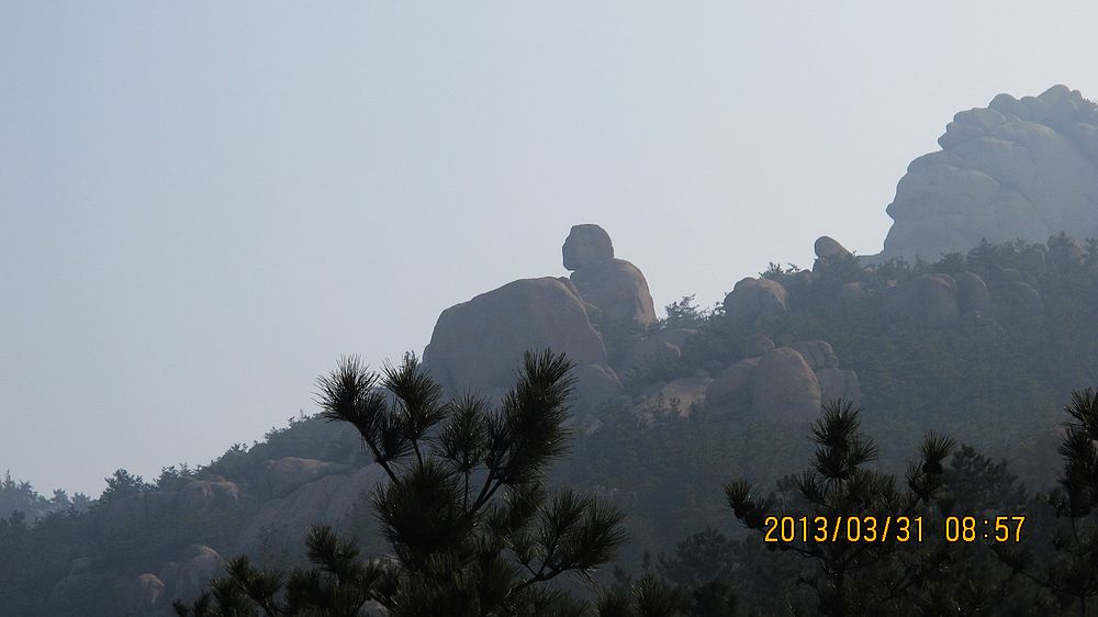 IMG_3950.jpg