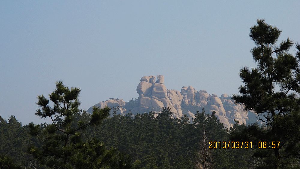 IMG_3951.jpg