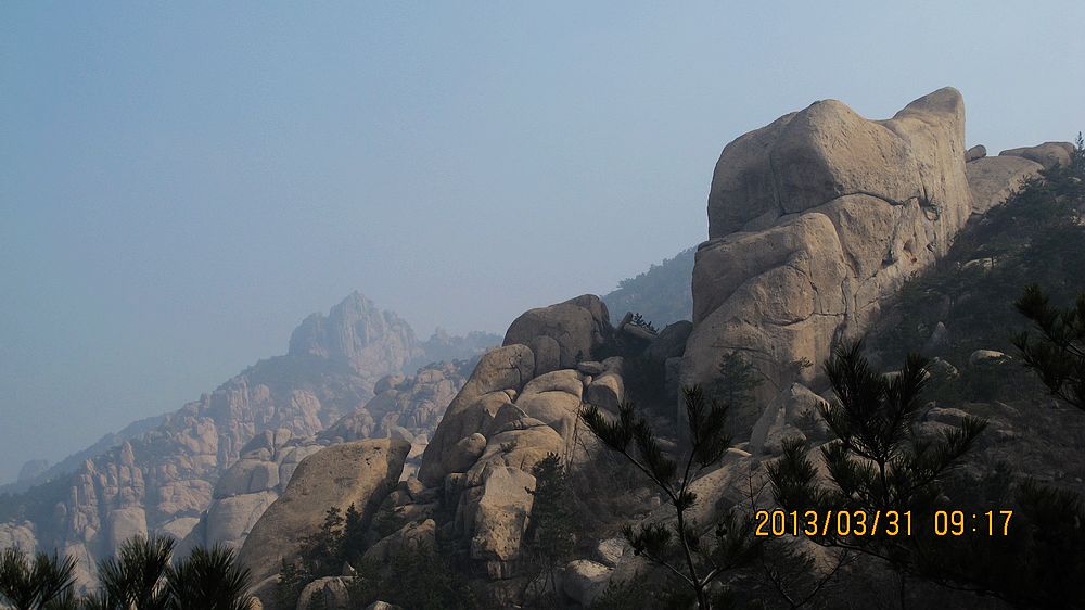 IMG_3956.jpg