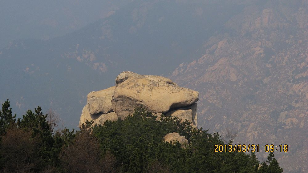 IMG_3957.jpg