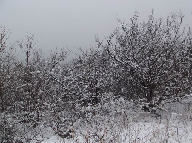DSCF4352.JPG